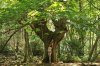 47/9 DSC_7646 kim site.jpg